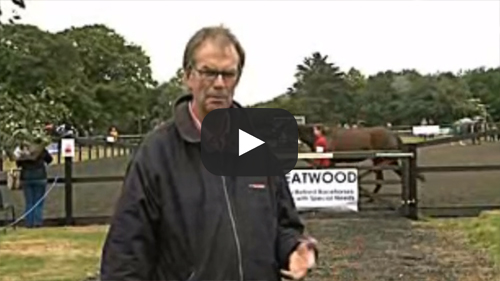Greatwood Open Day 2011