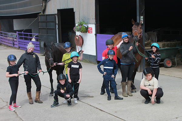 Horse Power Educational Programme