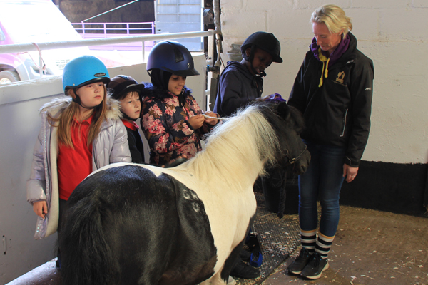 Horse Power Educational Programme