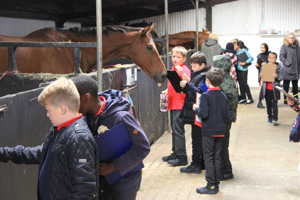 Horse Power Educational Programme