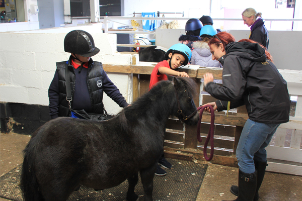 Horse Power Educational Programme